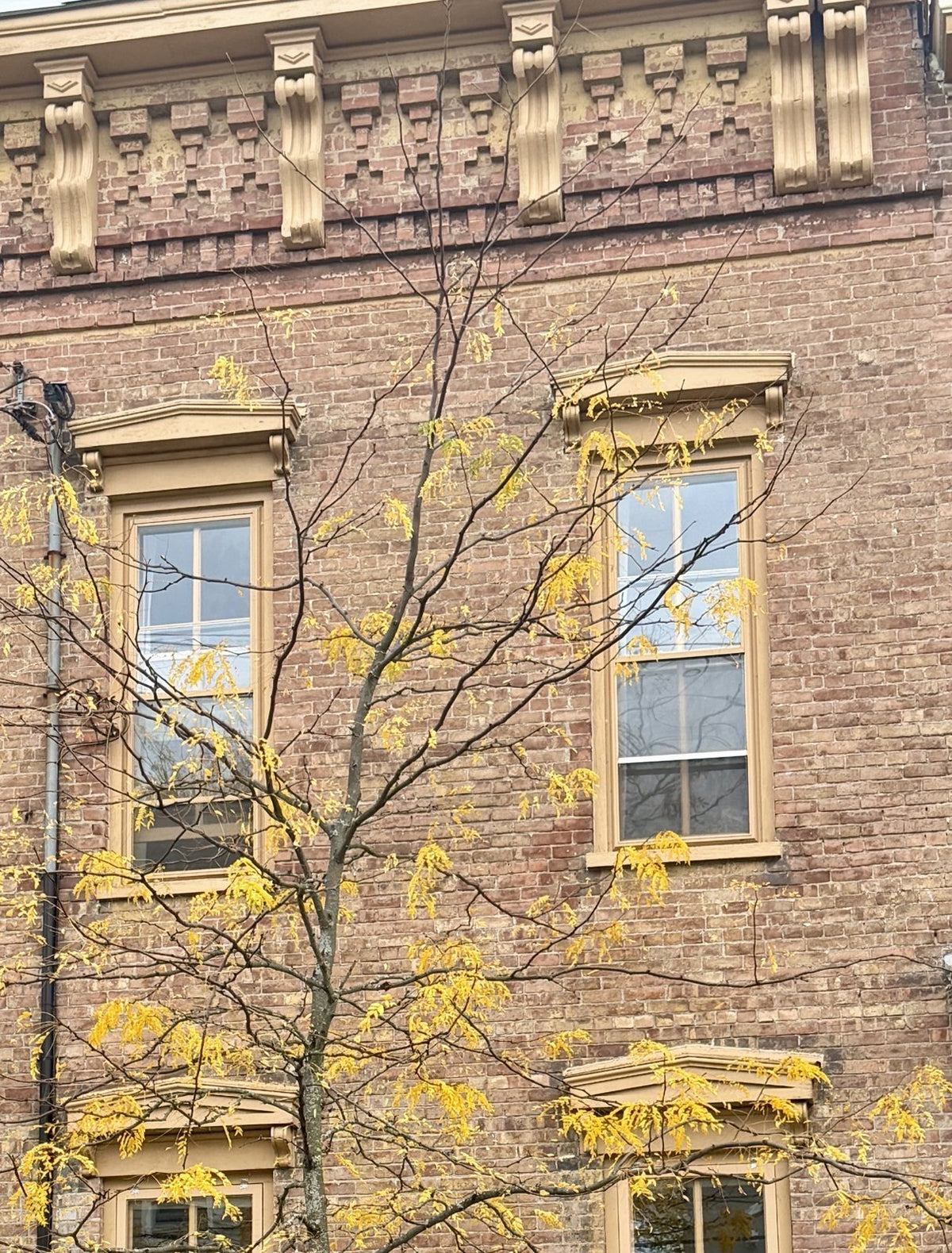 The brick facade of the Hudson house with tall windows and a yellow autumn tree